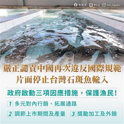 蔡總統譴責大陸禁臺石斑魚 請國人支持臺灣漁民