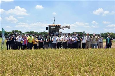 低碳有機水稻觀摩會  產官學共促農業永續經營