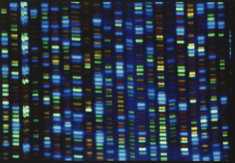 【全球大搜奇】遺傳學里程碑 人類完整基因定序2