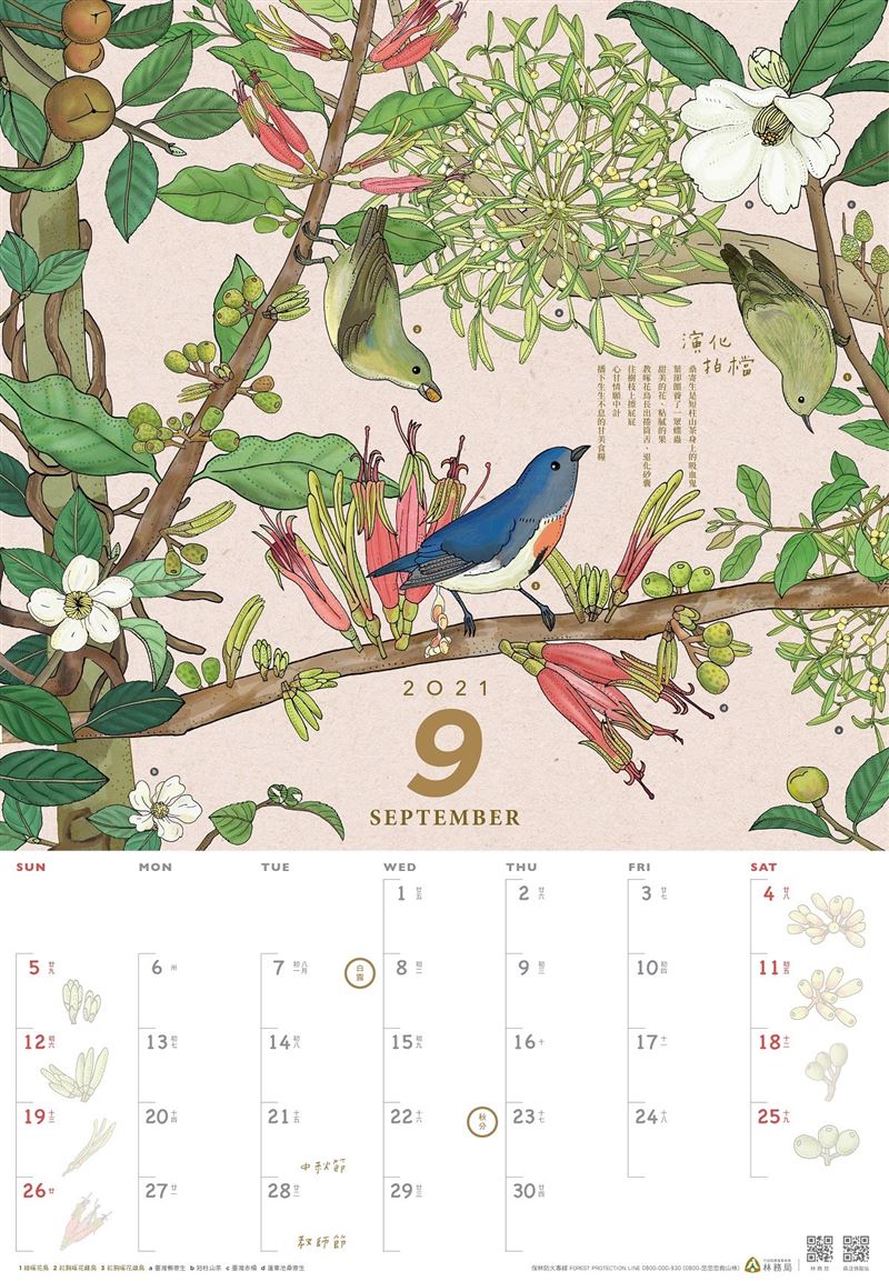 林務局2021年月曆「生命之森」11月2日起開放預購2