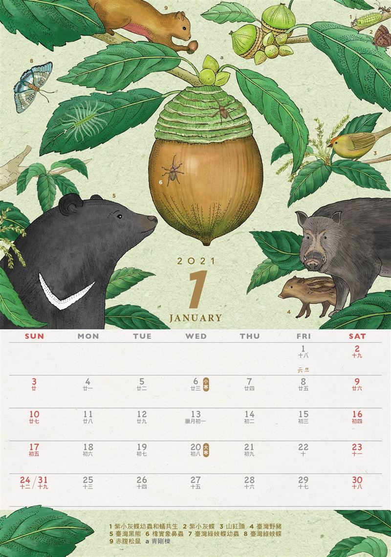 林務局2021年月曆「生命之森」11月2日起開放預購3
