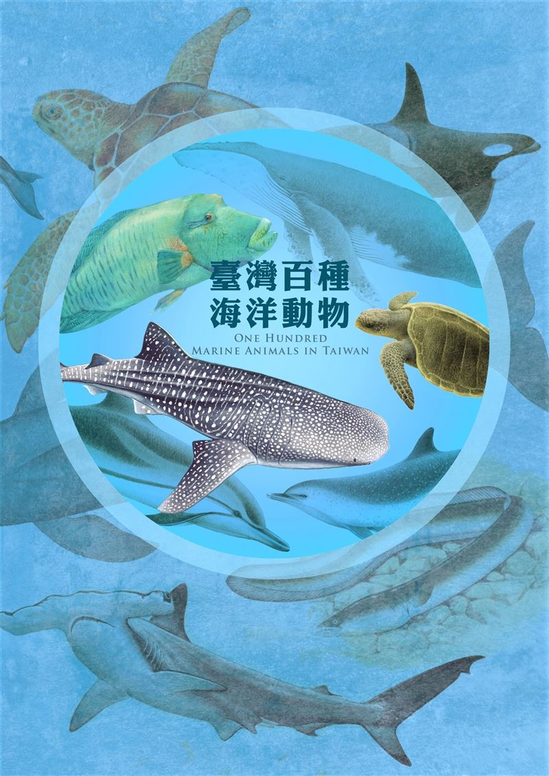 海保署出版《臺灣百種海洋動物》介紹海洋生物之美1