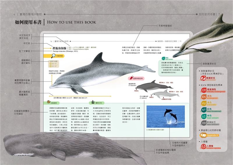 海保署出版《臺灣百種海洋動物》介紹海洋生物之美2