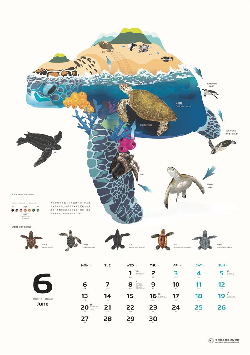 2022年海洋保育月曆、桌曆  即日起開放搶先預購3