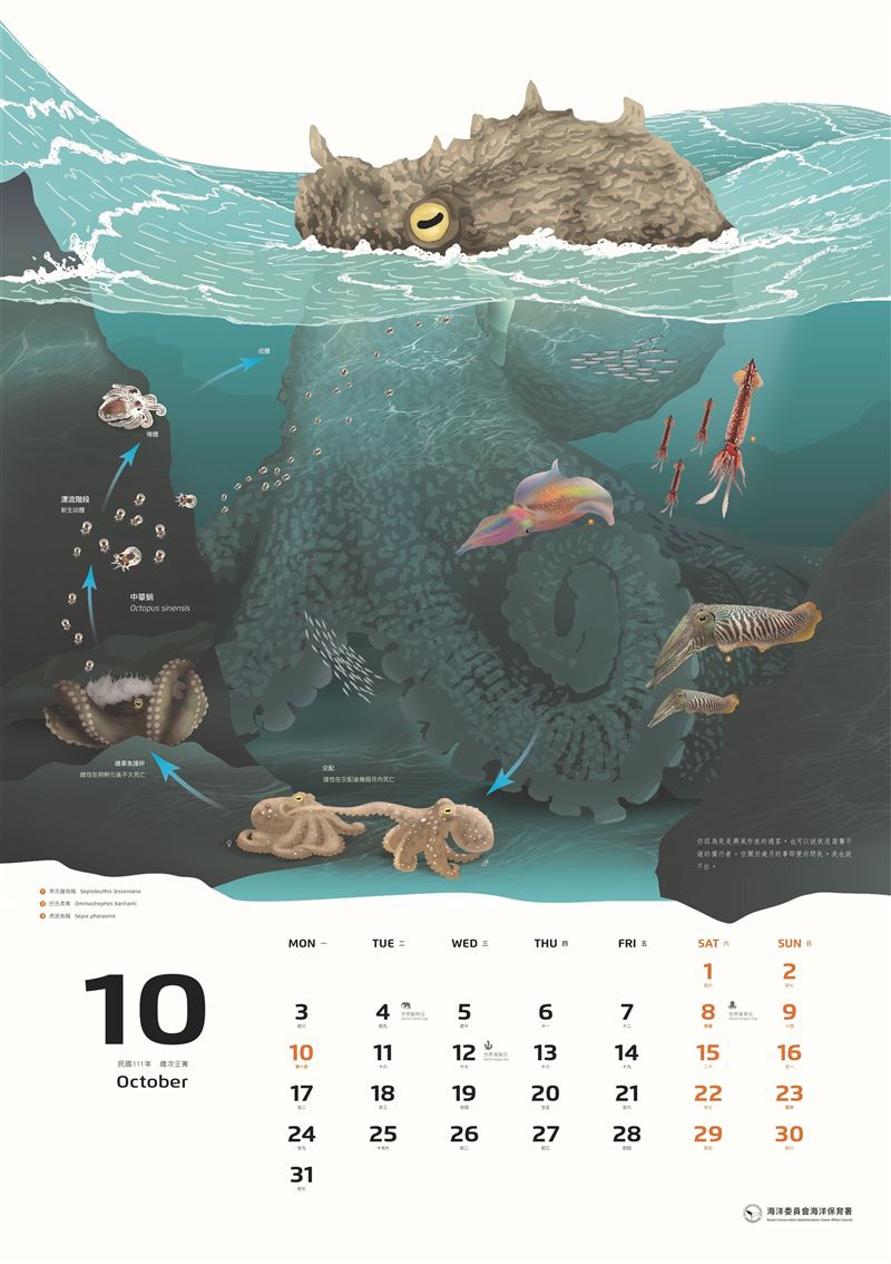 2022年海洋保育月曆、桌曆  即日起開放搶先預購4