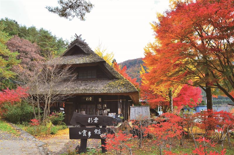 日本的秀麗風景及美食，是國人海外旅遊首選。